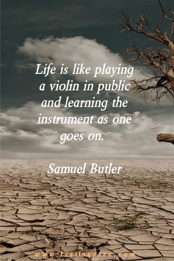 Life is like playing a violin in public and learning the instrument as one goes on. Samuel Butler